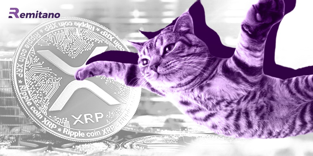 Điều gì có thể khiến đồng XRP tăng lên mức $1,00 trong tương lai?