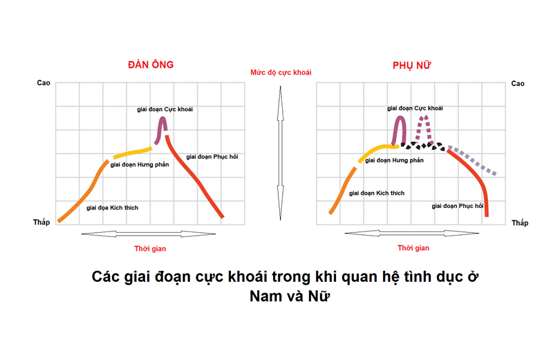 Các giai đoạn cực khoái