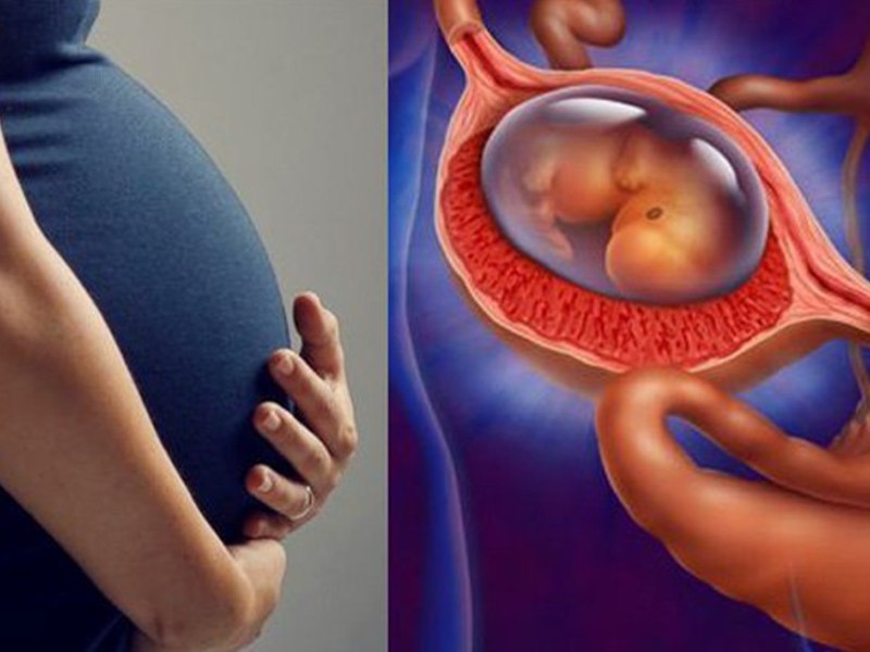 Tại sao thai chưa vào tử cung?
