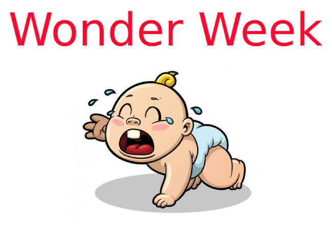 Bảng wonder week của bé và những điều có thể bạn chưa biết