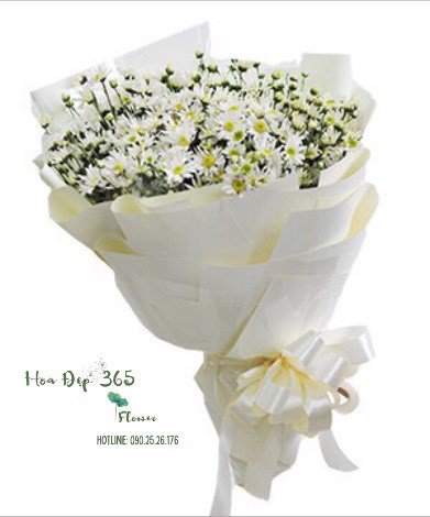  Bó Hoa Cúc Hoạ Mi - HBT52 