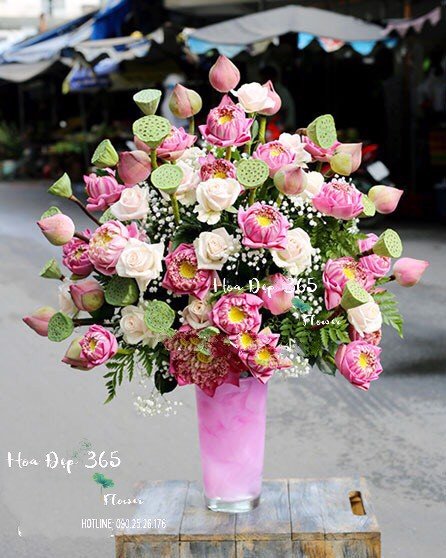  Pink Lotus - HCB31 