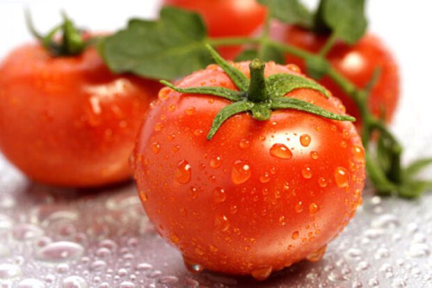 cách chọn cà chua ngon