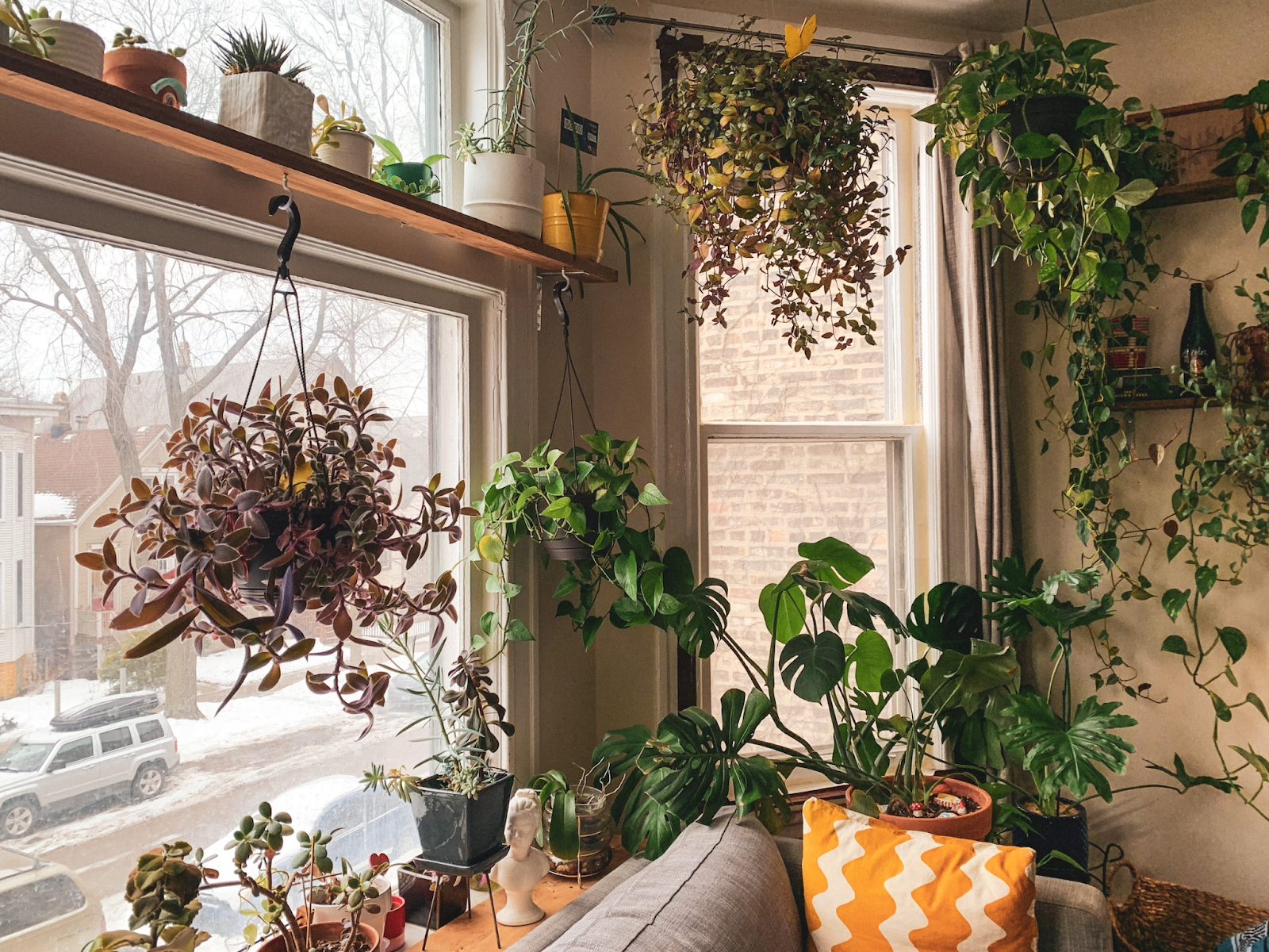 Decorating indoor plants next to window