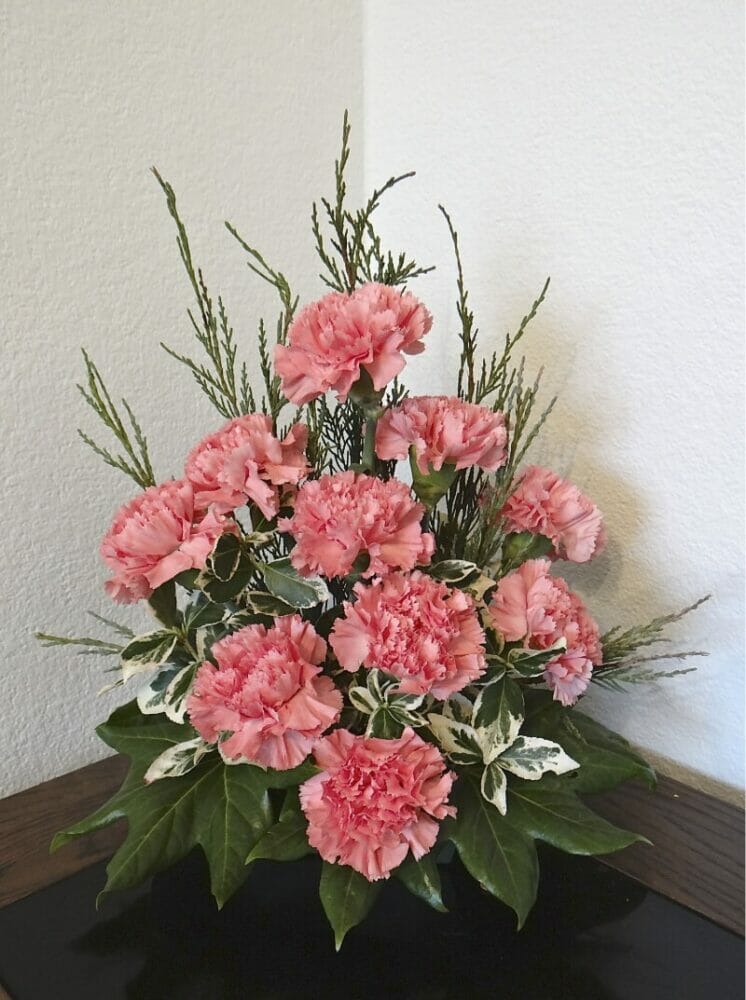 Những cách cắm hoa cẩm chướng đẹp nhất cho ngôi nhà bạn