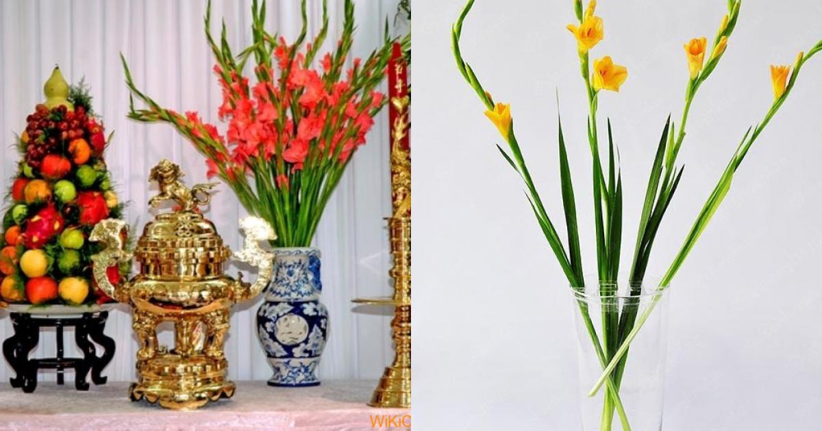 Hướng dẫn cách cắm hoa lay ơn để bàn thờ tại nhà