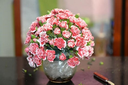 Cách cắm hoa​ cẩm chướng bình thấp toả tròn 