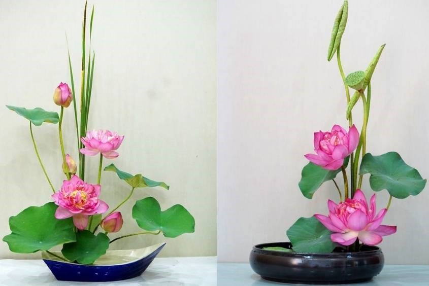 Cách cắm hoa sen theo phong cách ikebana