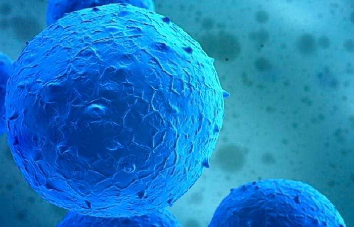 Công nghệ tế bào gốc là gì? Phân loại tế bào gốc dựa trên nguồn gốc