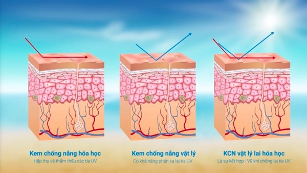 Cơ chế hoạt động