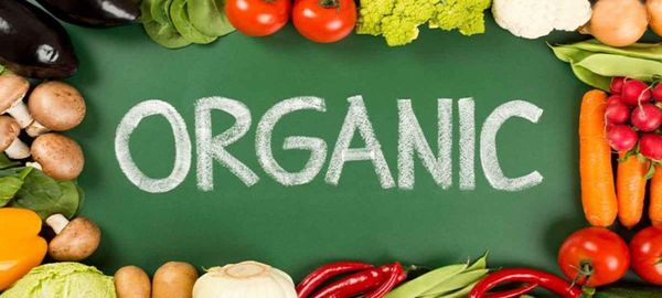 Organic là gì?