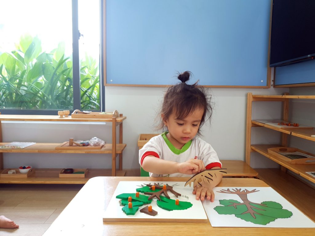 Phương pháp Montessori cho trẻ 6 - 12 tuổi là gì? 