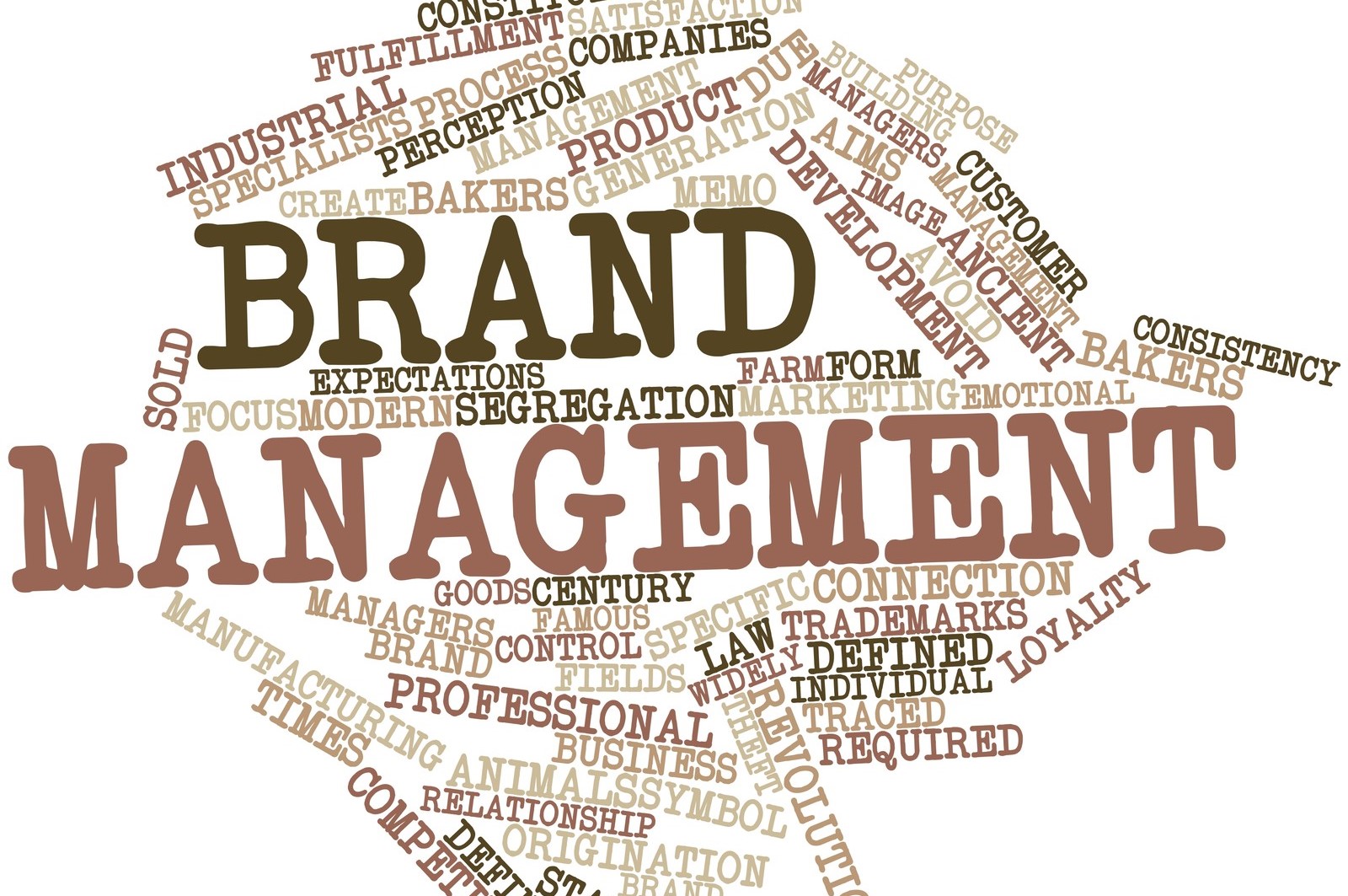 Quy trình thực hiện Brand Management hiệu quả