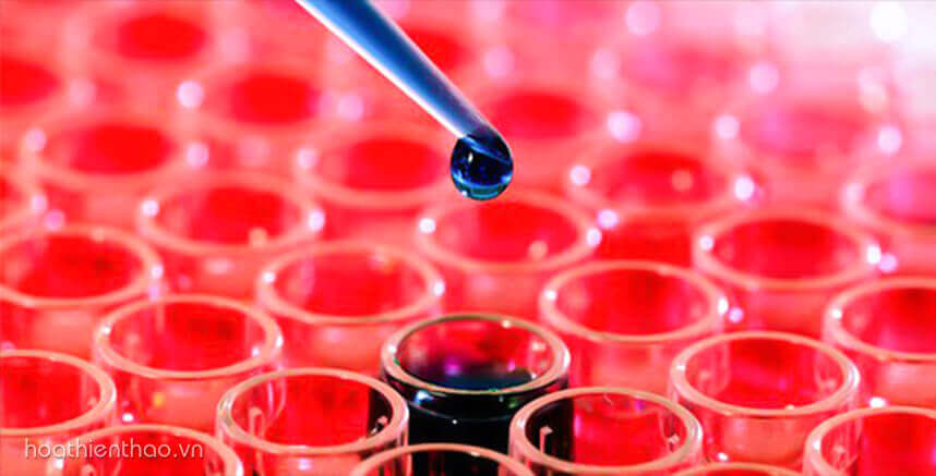 Tế bào gốc (Stem Cell) là gì? Ứng dụng của tế bào gốc