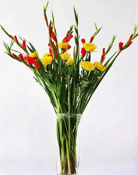cách cắm hoa lay ơn với hoa cúc