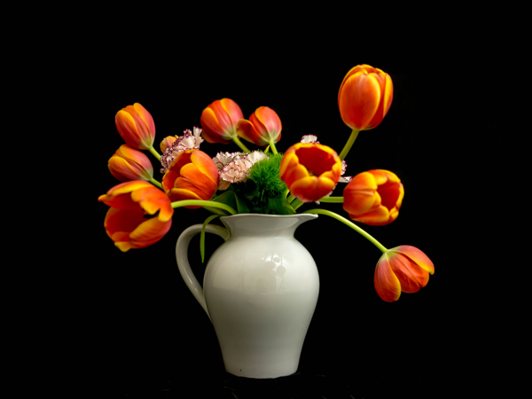 cắm hoa tulip một màu