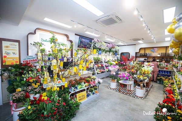cửa hàng hoa Dalat Hasfarm
