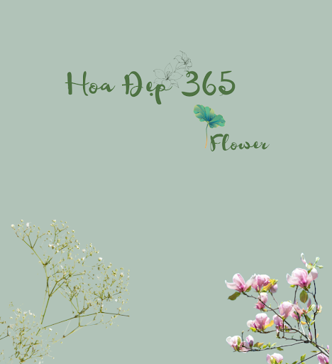 Hoa Đẹp 365