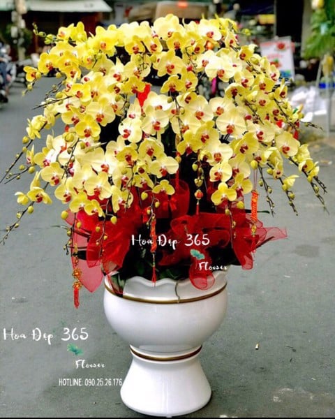Ngày Vinh Quang - LHĐ67 được thiết kế với: 35 cành Lan Hồ Điệp Vàng .