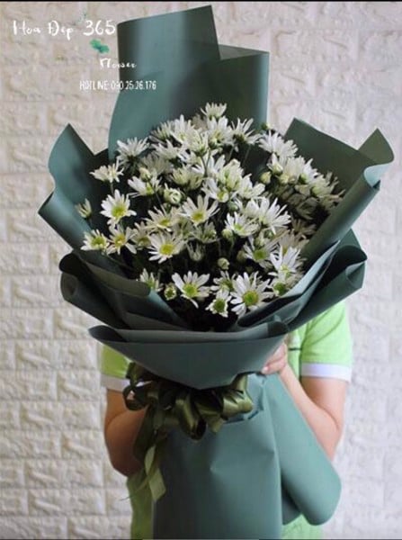Hoa cúc họa mi – Nàng thơ xinh đẹp gọi đông về 