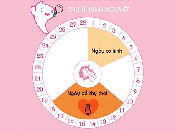 Chu kỳ kinh nguyệt là gì? Cách tính chu kỳ kinh nguyệt