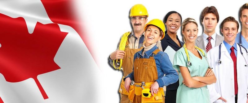 kinh nghiệm làm việc tại Canada