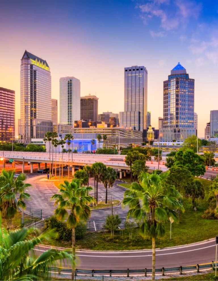 Công ty Tampa SEO | Công ty Renaissance Digital Marketing