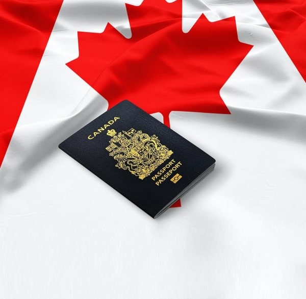 Tổng quan quy trình xin cấp Start-up Visa Canada