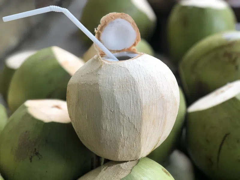 Uống Nước Dừa Mỗi Ngày – Nạp Calo Ít, Lợi Ích Nhiều