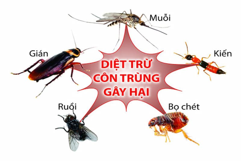 công dụng băng vệ sinh