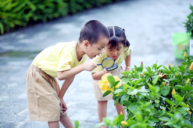 montessori là gì