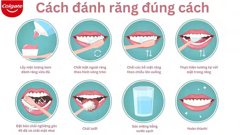 Hướng Dẫn Đánh Răng Đúng Cách Từ Chuyên Gia