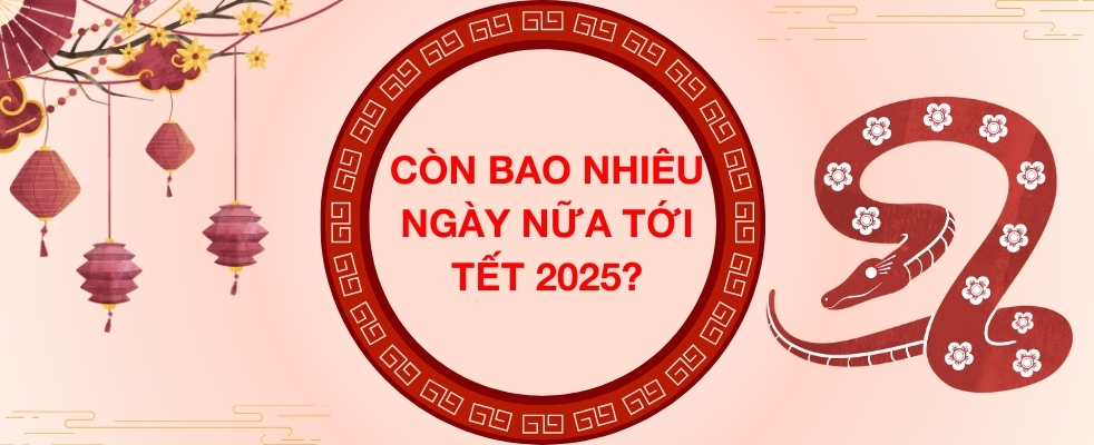 Còn bao nhiêu ngày nữa đến Tết 2025? Mùng 1 Tết 2025 ngày mấy? 