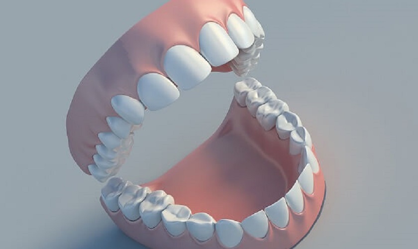 Hàm răng có bao nhiêu cái? Cấu tạo và vai trò của hàm răng