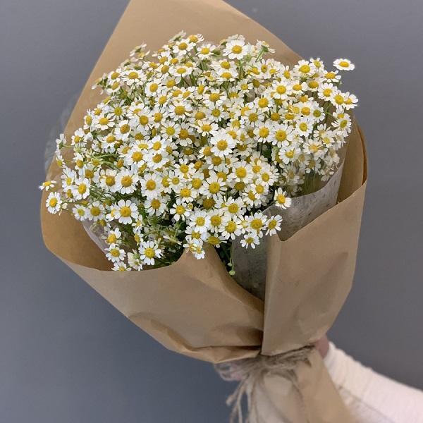 Hoa cúc xinh xắn tặng mẹ (Nguồn: Internet)
