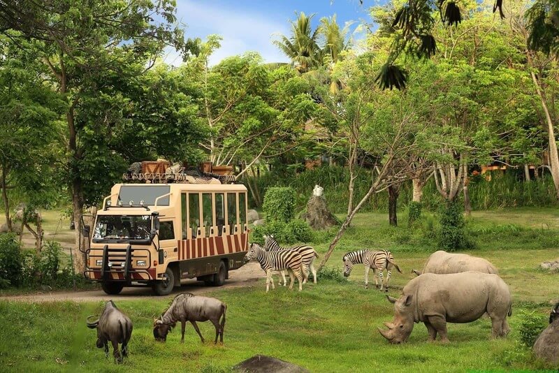 Khám phá Safari Phú Quốc