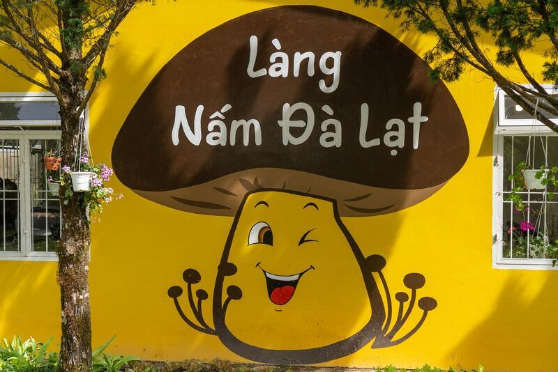 làng nấm đà lạt review