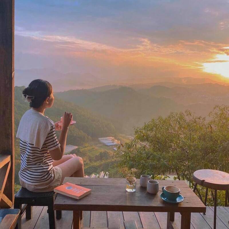 View check in cực chill tại In The Forest