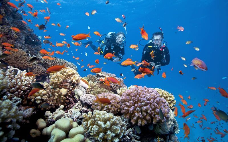 review lặn ngắm san hô phú quốc