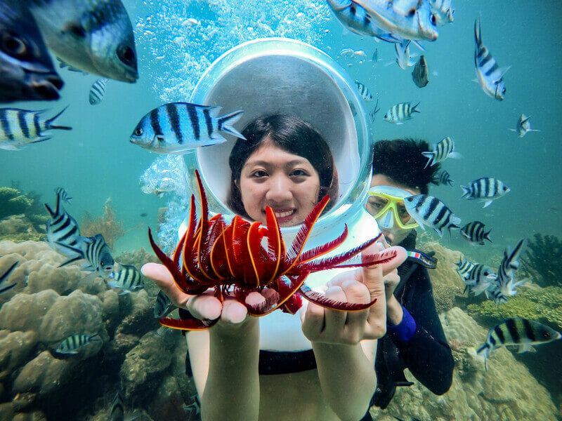 lặn ngắm san hô ở Công viên Seaworld Phú Quốc