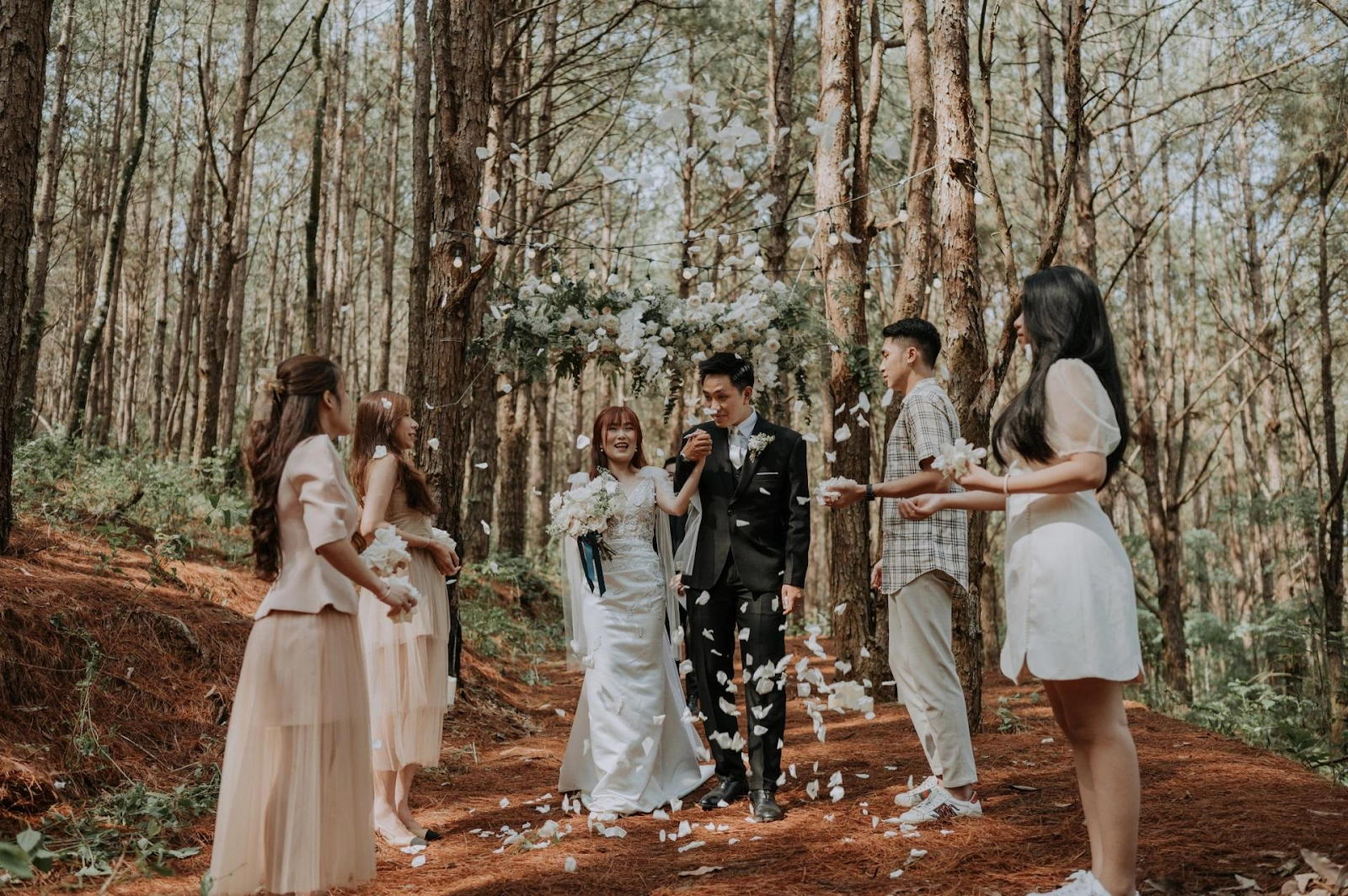 Đám cưới trong rừng thông (Nguồn: Sưu tầm) 