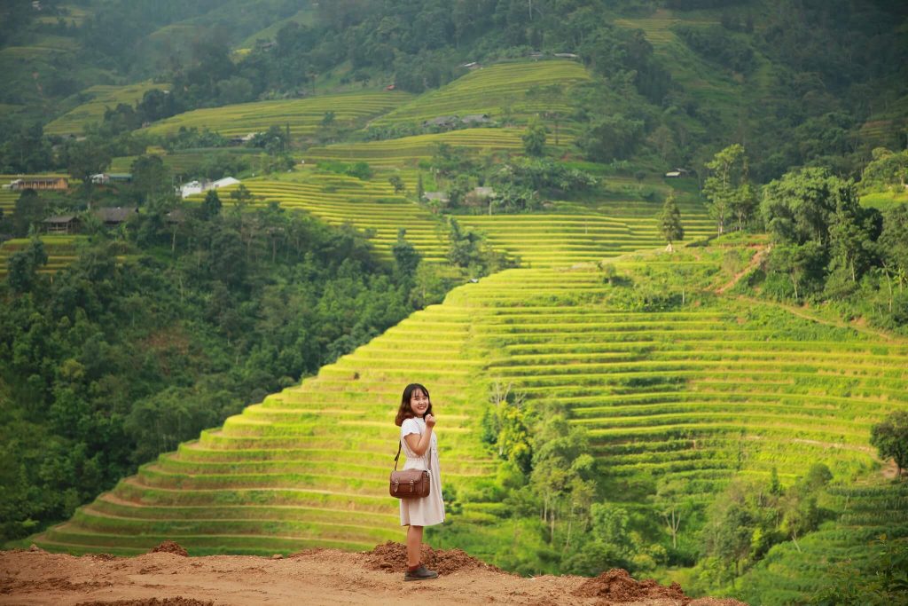 Hoàng Su Phì mùa lúa chín