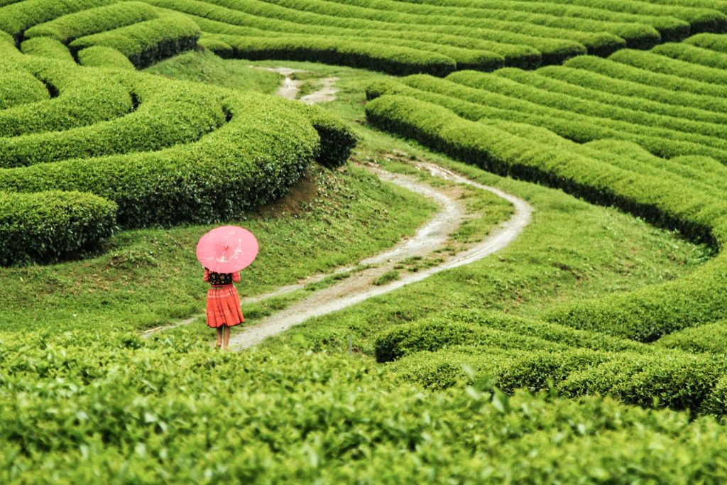 Cẩm nang du lịch Việt Nam: Các mẹo bạn cần biết