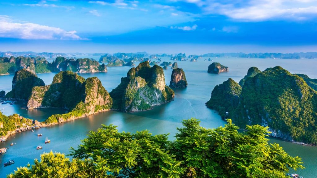 Vịnh Hạ Long chủ yếu là đảo đá vôi được hình thành cách đây hơn 500 triệu năm (Nguồn: Internet)