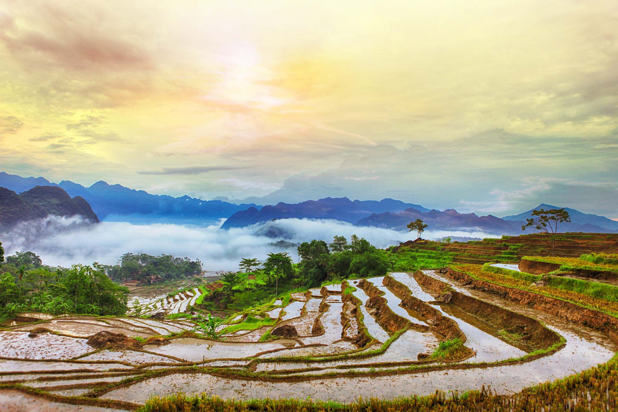 Du lịch Việt Nam 2023 – Trọn tour cho trải nghiệm hoàn hảo