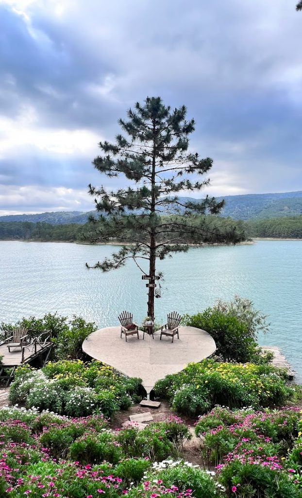 Hòa mình vào thiên nhiên và ngắm nhìn vẻ đẹp thơ mộng của hồ Tuyền Lâm (Nguồn: Sưu tập)