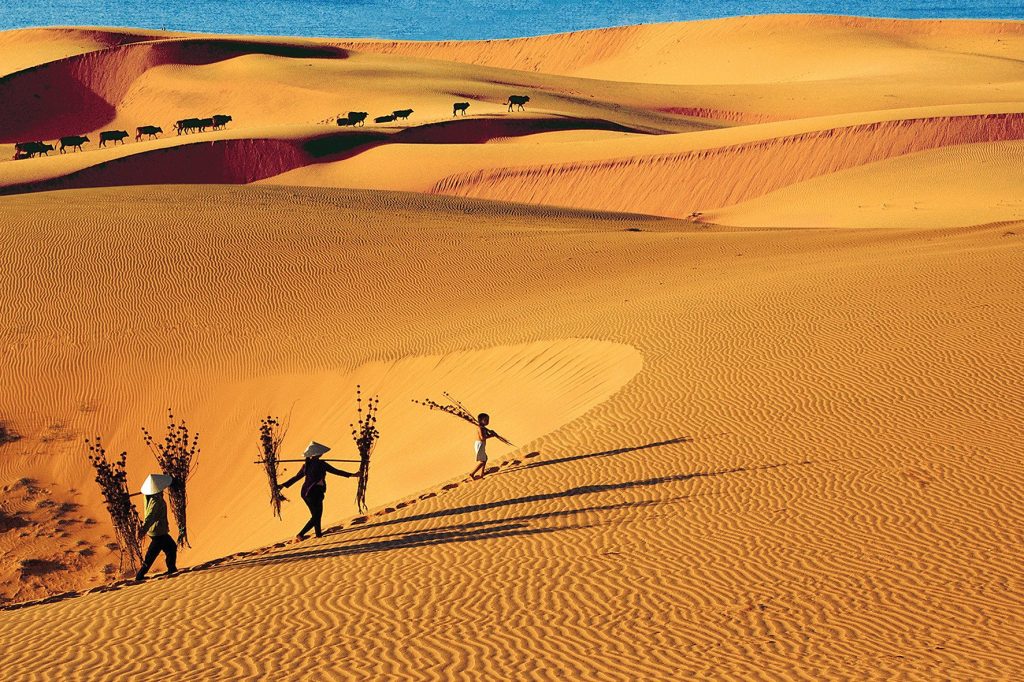 Dịu kỳ đồi cát bay vàng đặc trưng ở Mũi Né, địa điểm du lịch bình thuận