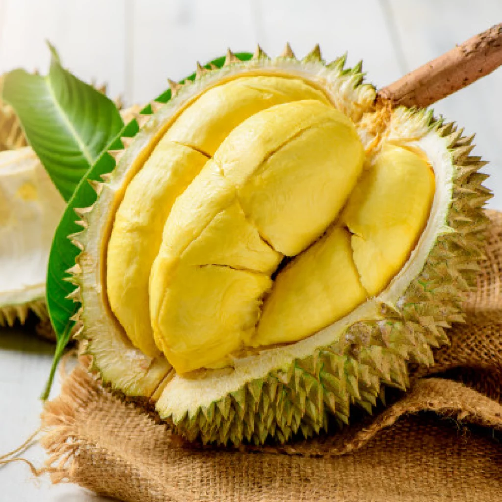 Sầu riêng là loại trái cây đặc sản của tỉnh Lâm Đồng
