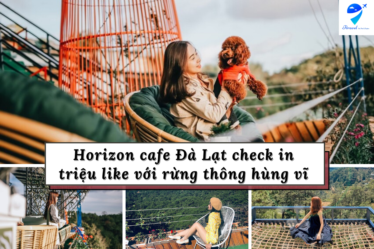 Horizon cafe Đà Lạt check in triệu like cùng rừng thông mộng mơ, hùng vĩ 2023