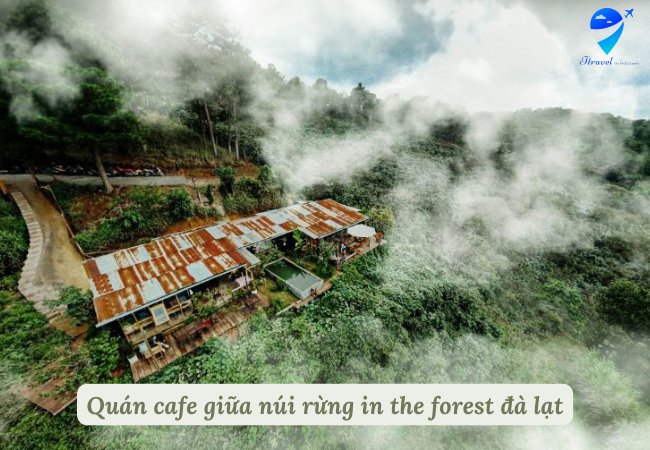 Quán cafe giữa núi rừng in the forest đà lạt